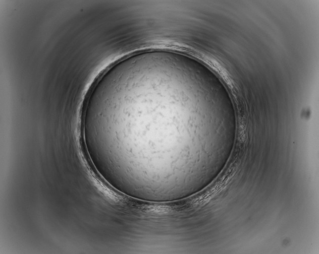 X0000100931136200807011215