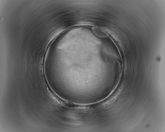 X0000100931137200807011215