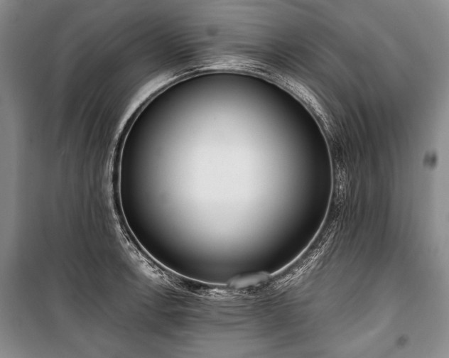 X0000100931138200807011215