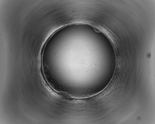 X0000100931140200807011215