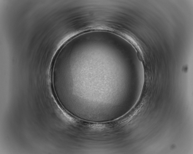 X0000100931141200807011215