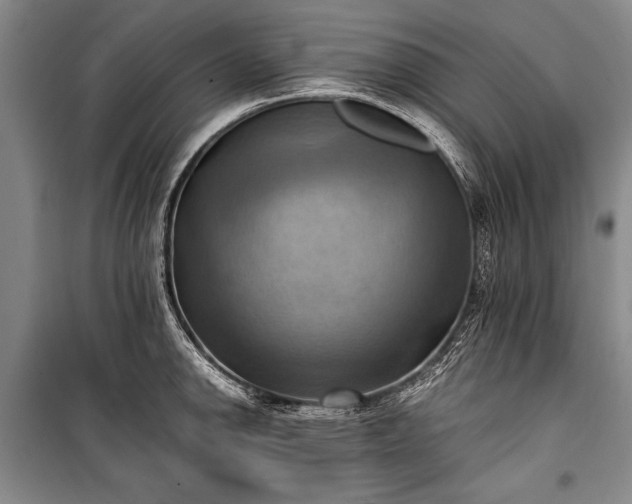 X0000100931142200807011215