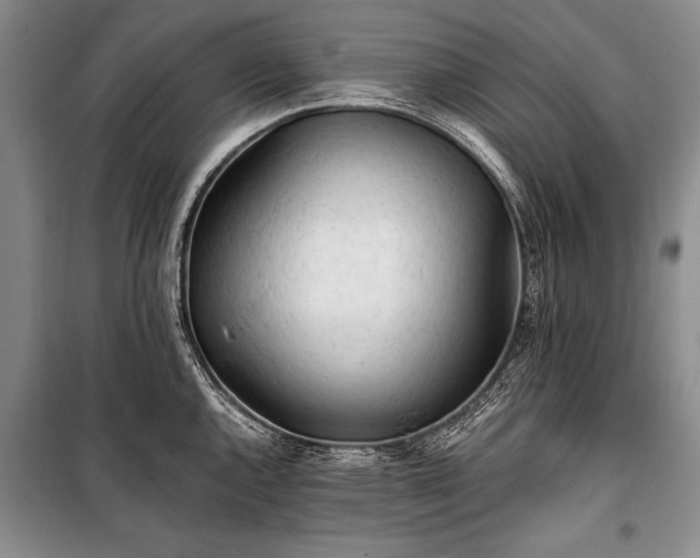 X0000100931144200807011215