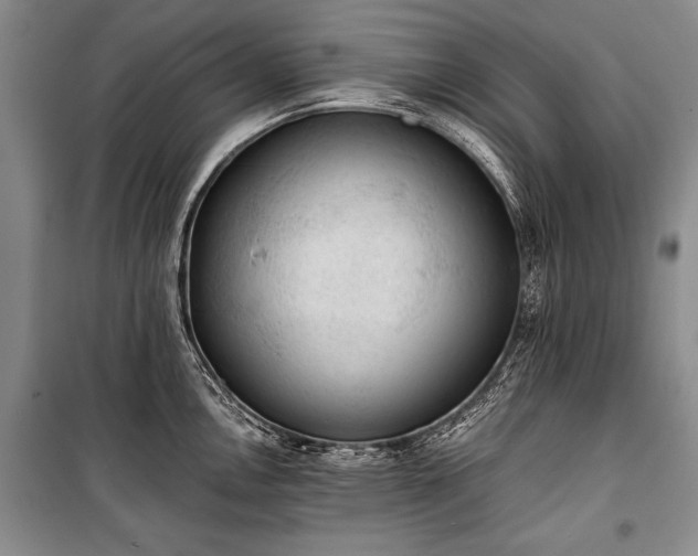 X0000100931146200807011215