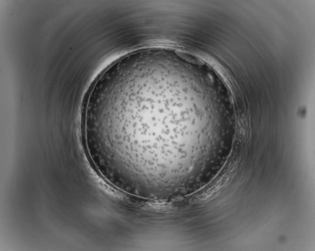 X0000100931147200807011215