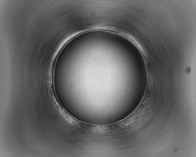 X0000100931148200807011215