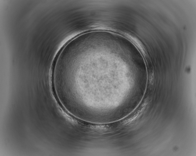 X0000100931149200807011215