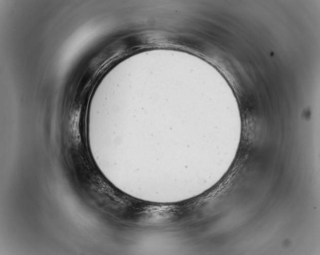 X0000100931150200807011215