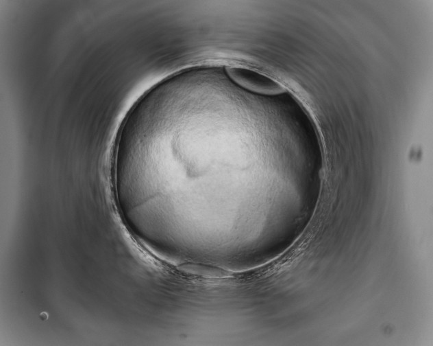 X0000100931152200807011215