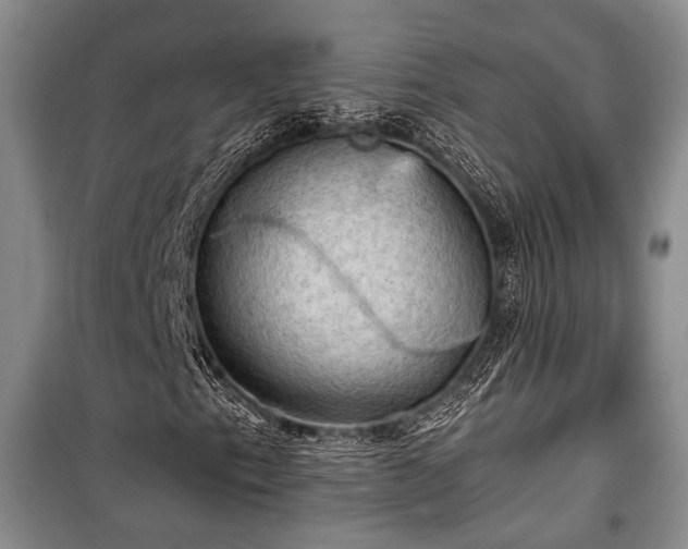 X0000100931153200807011215