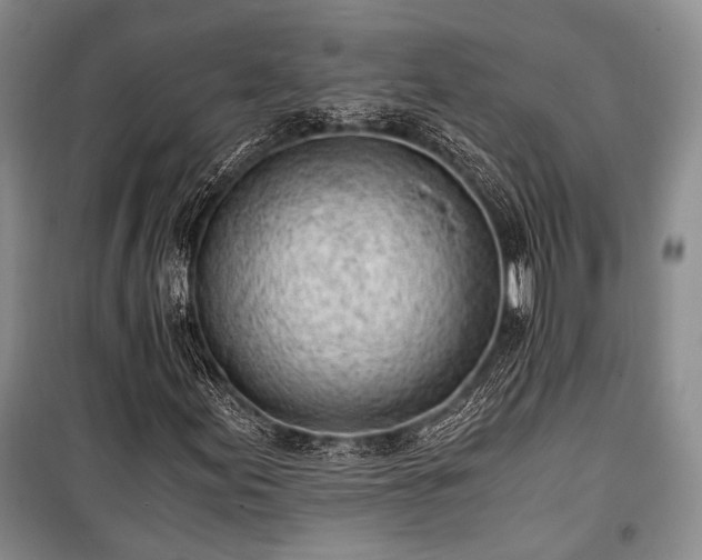 X0000100931155200807011215