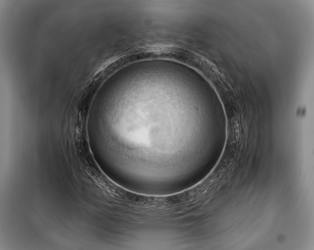 X0000100931158200807011215