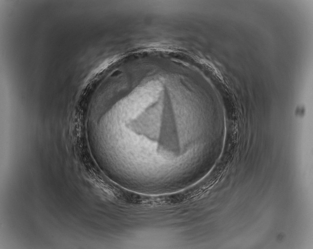 X0000100931159200807011214