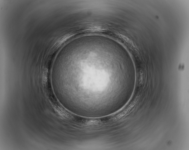 X0000100931161200807011214