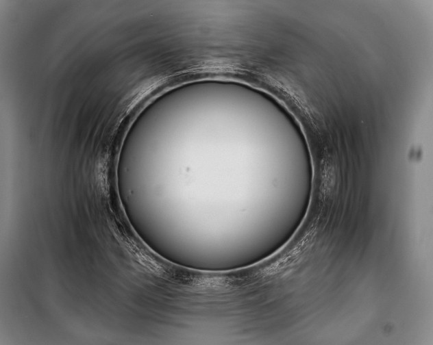 X0000100931162200807011214