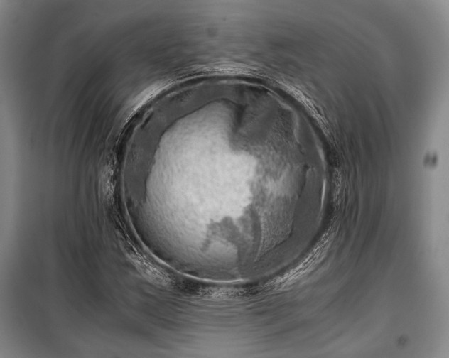 X0000100931163200807011214