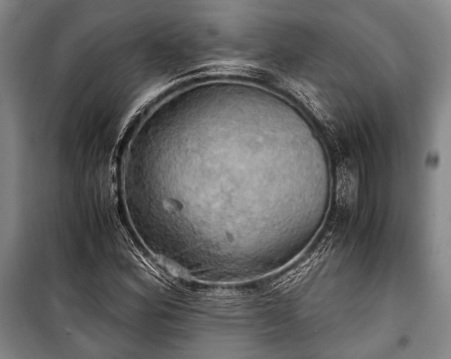 X0000100931164200807011214