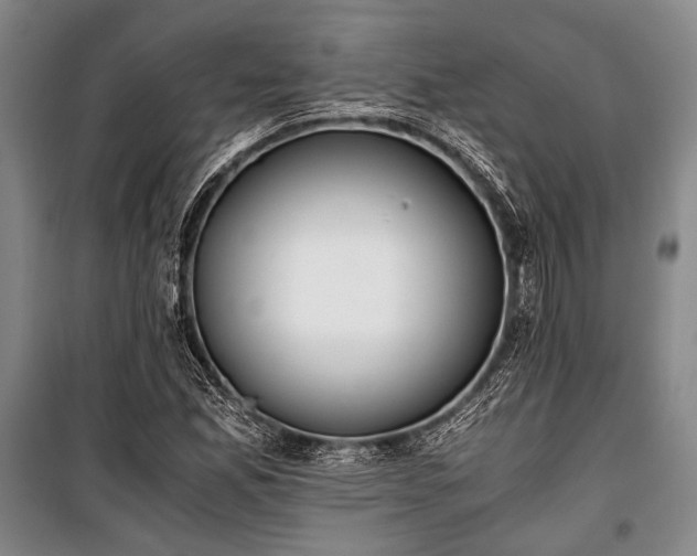 X0000100931165200807011214