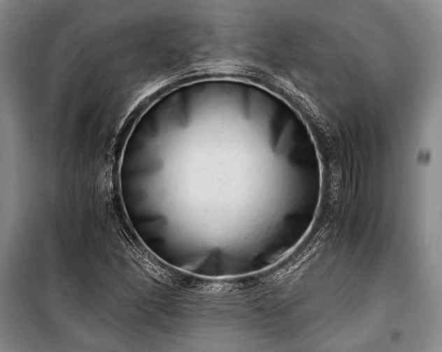 X0000100931166200807011214