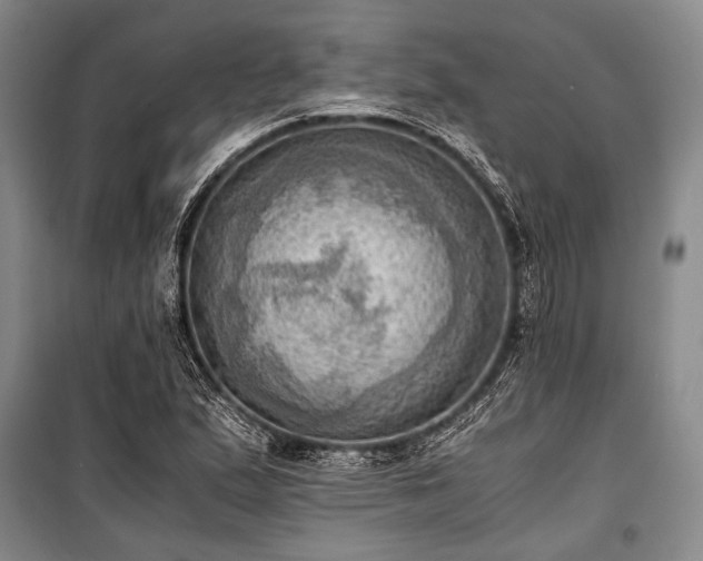 X0000100931167200807011214