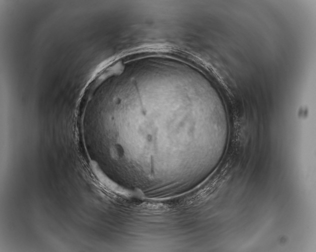 X0000100931168200807011214