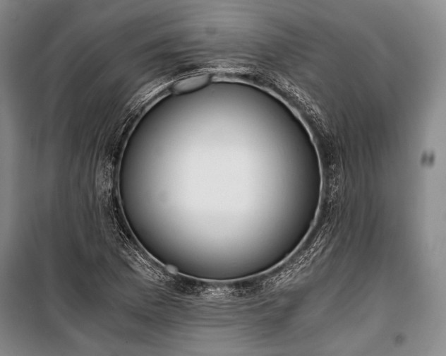 X0000100931169200807011214