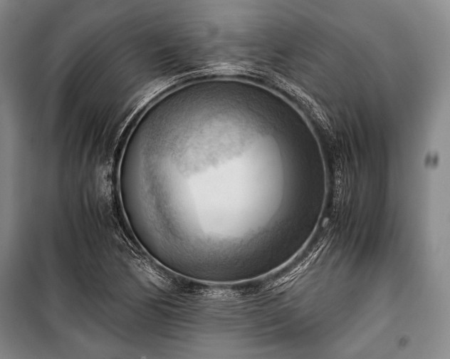 X0000100931170200807011214