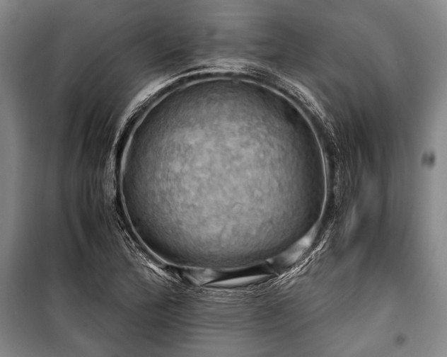 X0000100931172200807011214