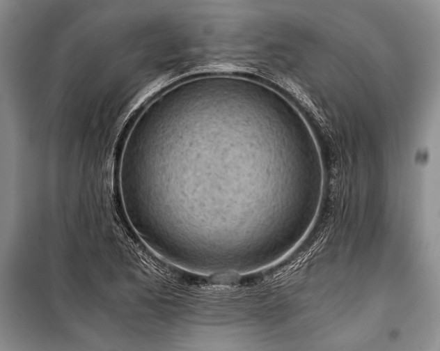 X0000100931173200807011214