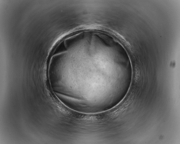 X0000100931174200807011214