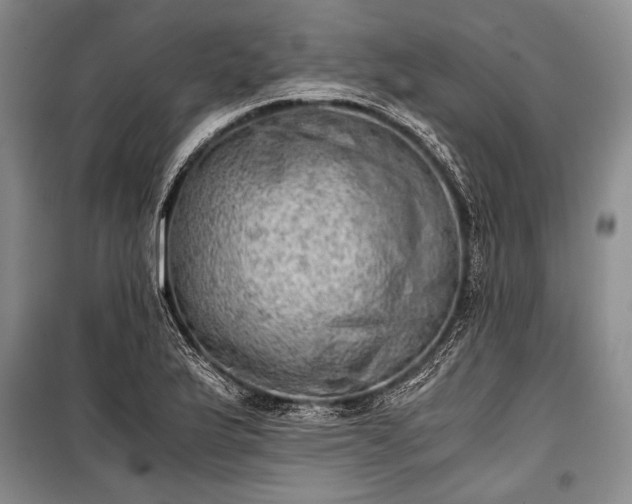 X0000100931175200807011214