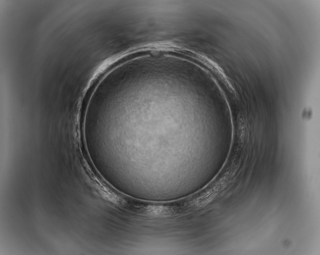 X0000100931176200807011214