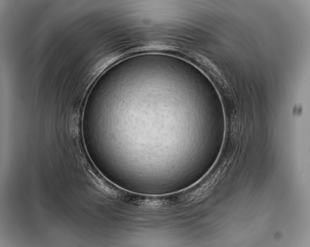 X0000100931177200807011214