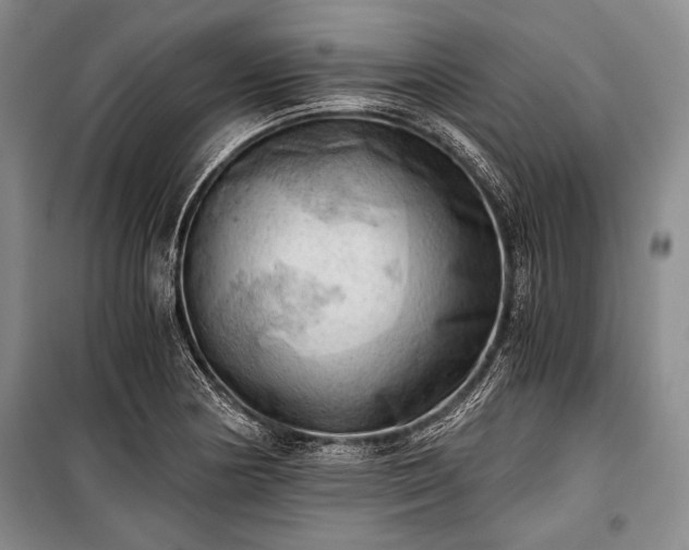 X0000100931178200807011214