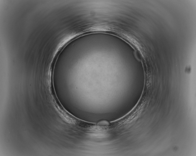 X0000100931179200807011214