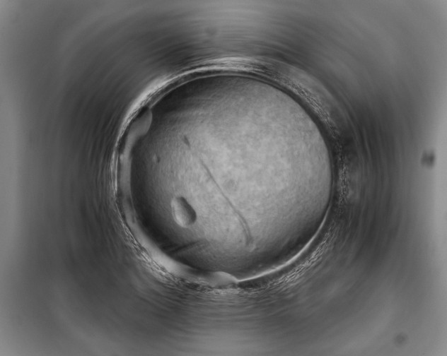 X0000100931180200807011214