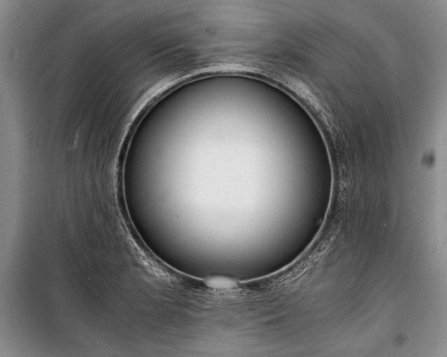 X0000100931181200807011214