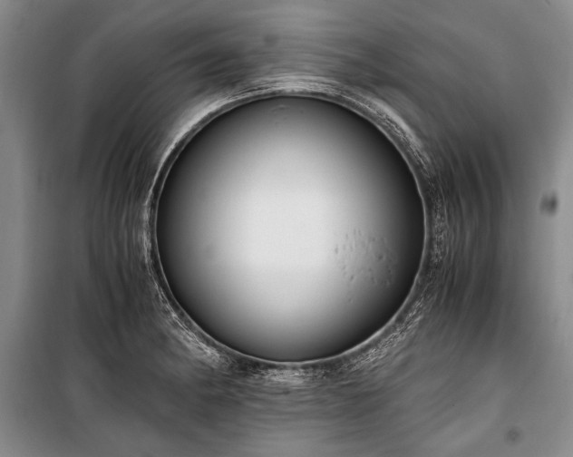 X0000100931182200807011214