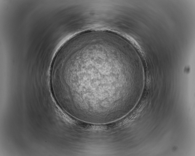 X0000100931183200807011214