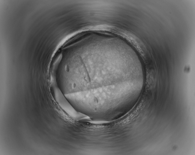 X0000100931184200807011214