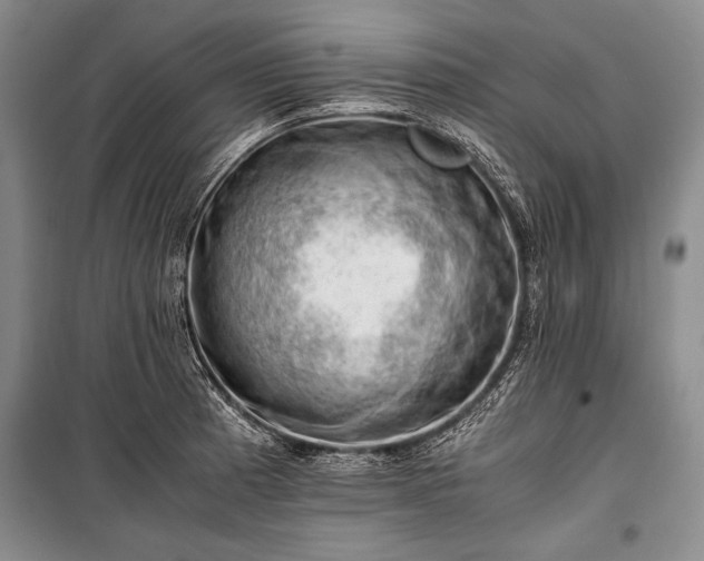 X0000100931185200807011214