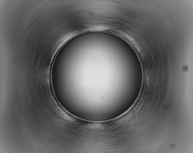 X0000100931186200807011214