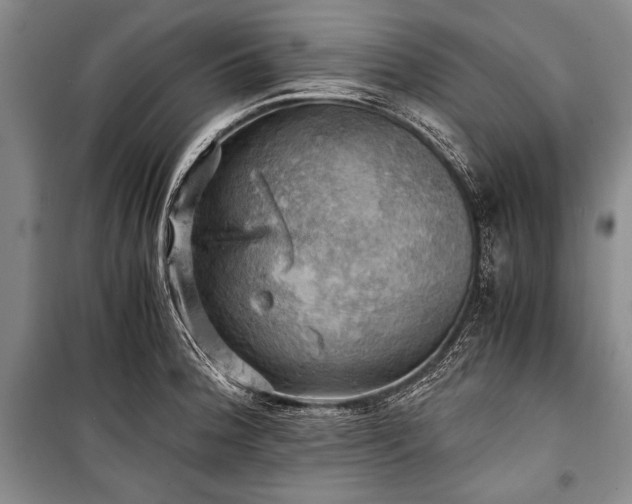 X0000100931188200807011214