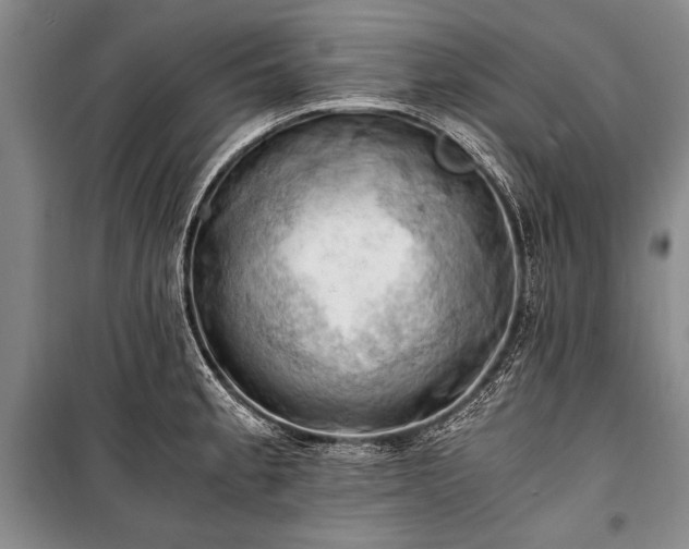 X0000100931189200807011214