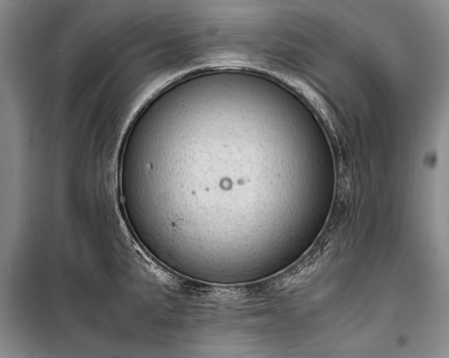 X0000100931191200807011214