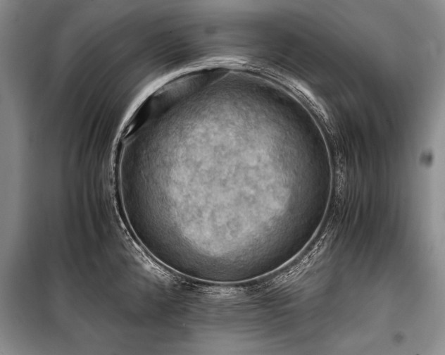 X0000100931192200807011214