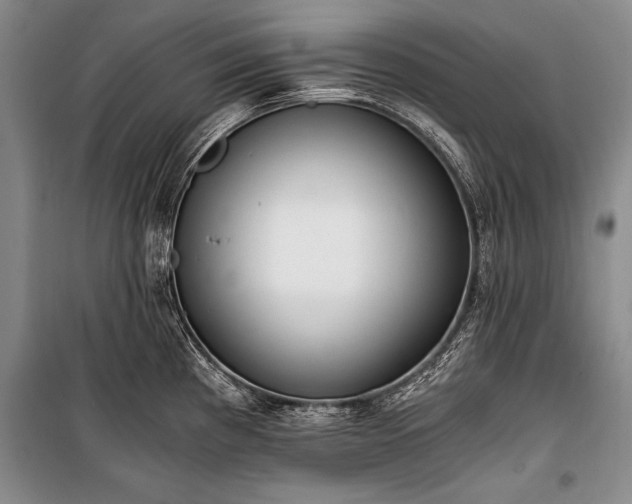 X0000100931193200807011214