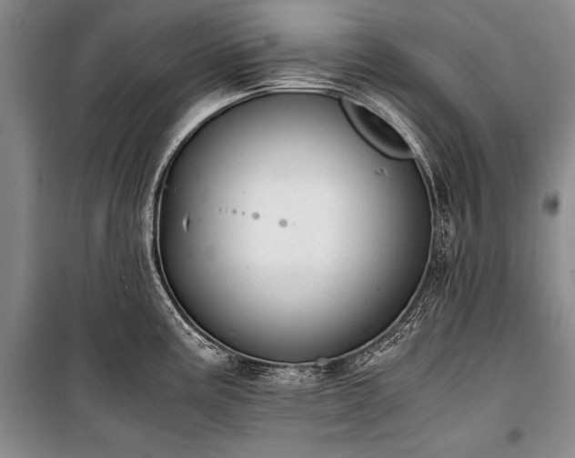 X0000100931195200807011214