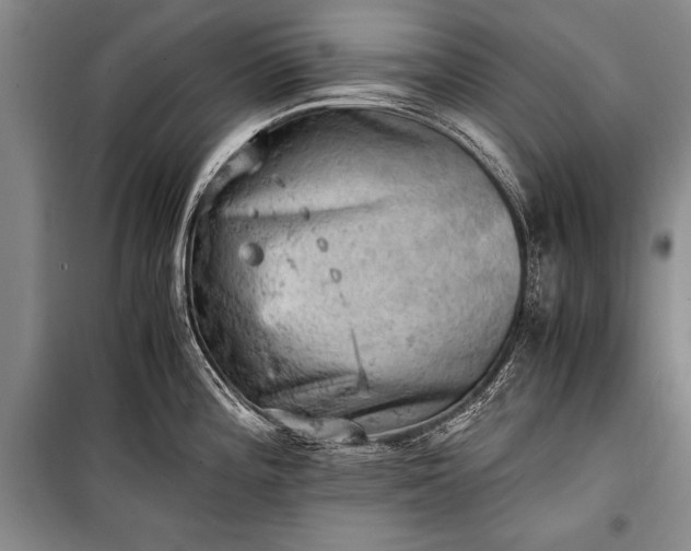 X0000100931196200807011214