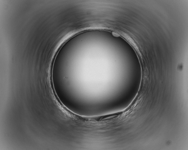 X0000100931197200807011214